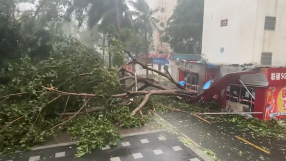  Tree blown down by typhoon rips part of shop in Hainan Province, China