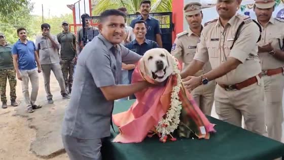 Adilabad's service dog Tara retires after 11 years of explosives detection