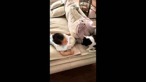 Toddler tries to touch cat before crawling away in Shandong, China