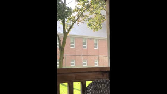 Heavy rain falls under bright sunshine in Whitby, Ontario, Canada