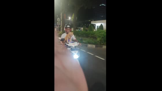 Friendly rider takes a joyful cruise with adorable cat in Central Jakarta