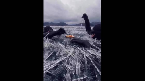 Thrill of the chill: ice swimming & picnicking on frozen lake Baikal