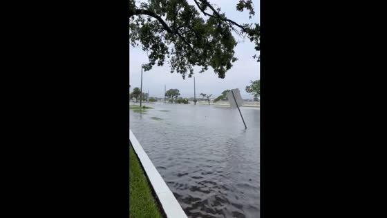 Hurricane Debby causes flooding in Tampa, Florida