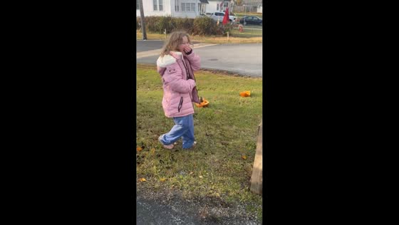 Hilarious pumpkin moment with little girl in Pennsylvania, USA