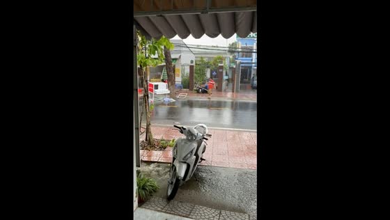 Rain and strong winds send food cart flying, ending in shattering disaster