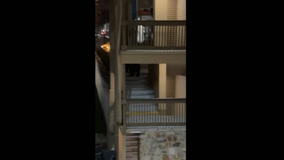 Bear on hotel stairs in Gatlinburg, Tennessee sparks alarm
