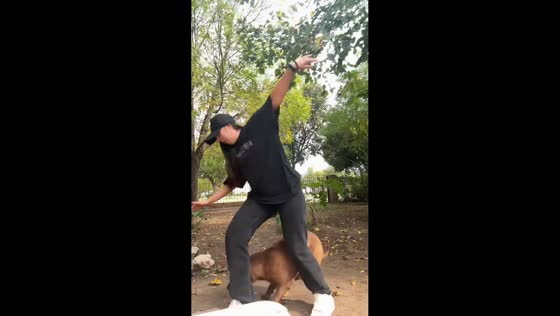 Woman falls after backing into dog in Córdoba, Spain