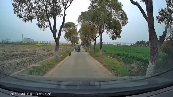 Electric scooter breaks down and loses front wheel in Zhejiang, China