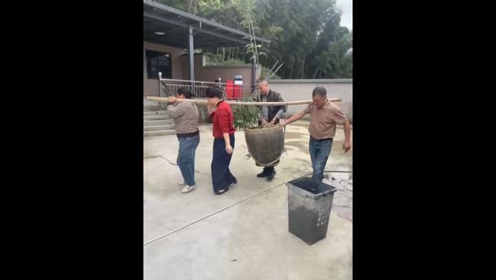 Four people attempt to lift a large vase using a bamboo stick in Zhejiang, China