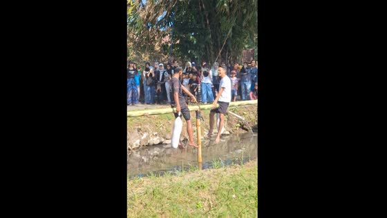 Two men fall into water during Indonesian Independence Day pillow fight