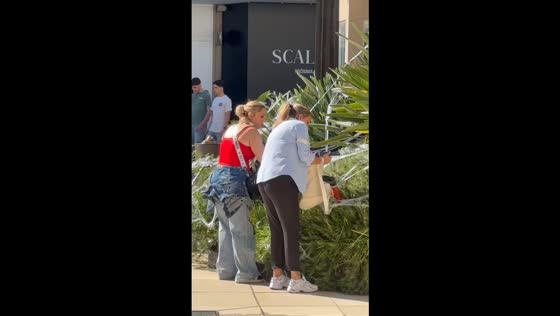 Women caught taking Halloween decorations in Valencia, Spain