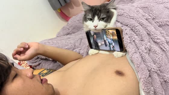 Cat becomes cozy phone holder in Guangdong, China