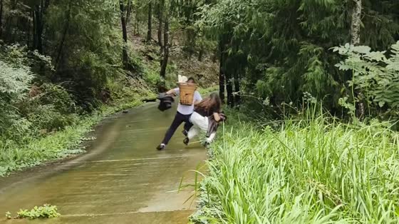 Two people slip and tumble on a forest path in Sichuan, China