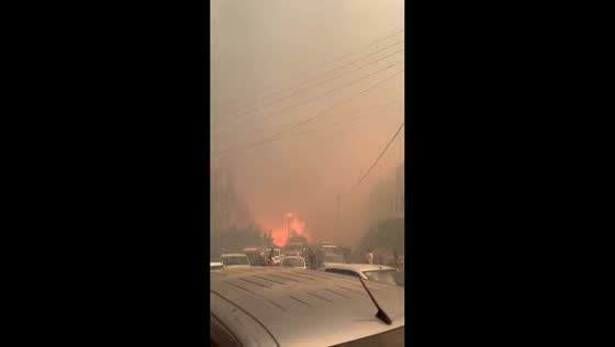 Destructive wildfire sparks panic as thick smoke engulfs road in Jijel, Algeria
