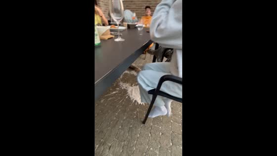 Sparkling wine bottle pops unexpectedly in Lokeren, Belgium
