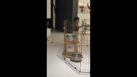 Dog gently pushes toddler aside to enter cage in Zhejiang, China