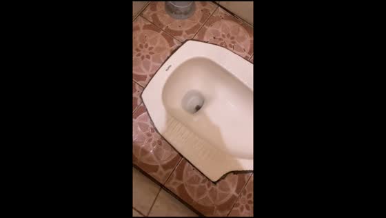 Suspected rat spotted inside toilet in Samarinda City, Indonesia