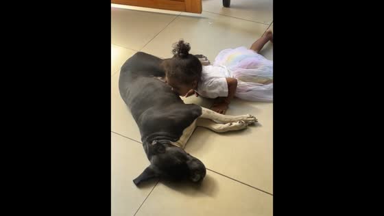 Curious toddler shares unexpected moment with family dog in Johannesburg, South Africa