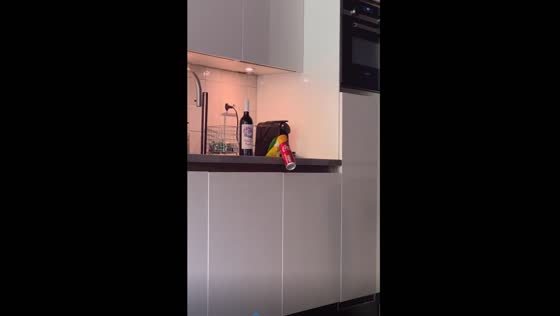 Playful parrot: Freek's Coca-Cola serenade demands attention!