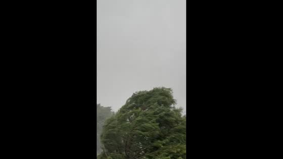 Strong winds bend trees as severe storms move through Oklahoma, USA