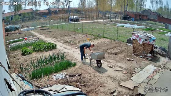Man trips while pushing loaded wheelbarrow in Tianjin, China