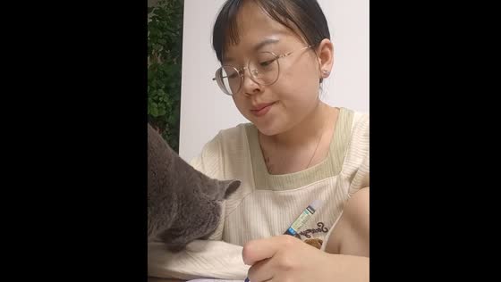 Cat nibbles hand while user studies in Ningxia, China