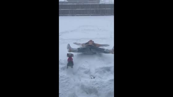 Woman accidentally hits dog while making snow angel in Vidor, Texas, USA