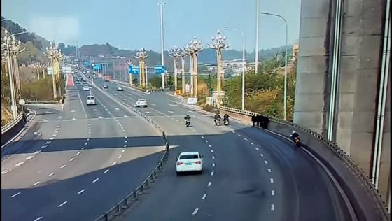 Motorcycle loses control and collides with pedestrians on highway in Shanghai, China