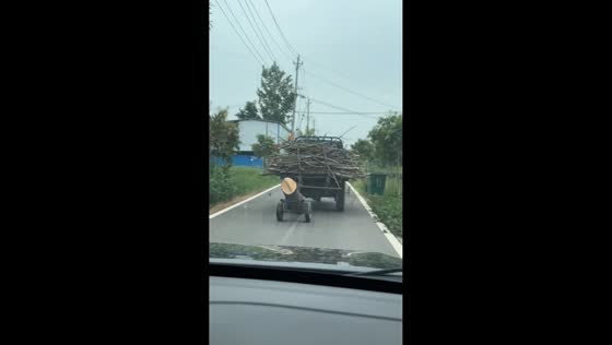 Wooden log trailer swings behind truck in Henan, China