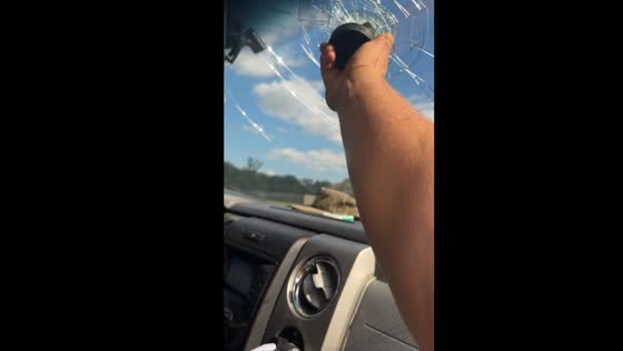 Thermos explosion shatters windshield in Hernando, Mississippi