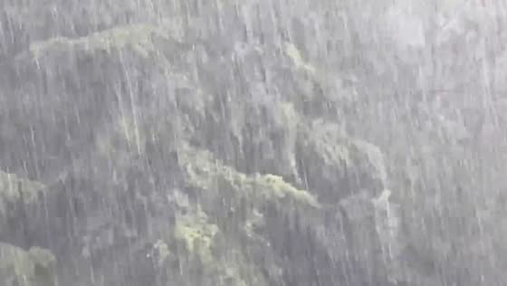 Intense rain and strong winds sweep through Gray, Kentucky