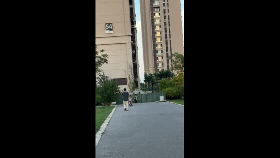 Boy distracted while cycling crashes into wall in Shandong, China