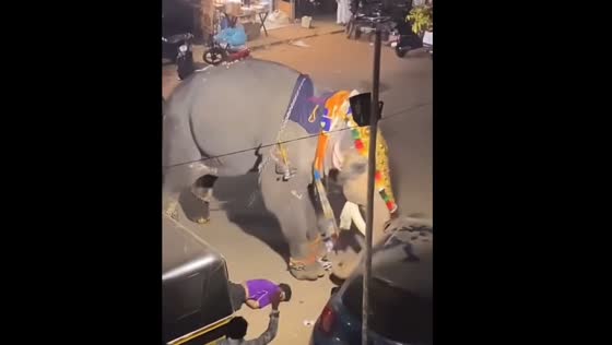 Elephant attacks people in Koottanad, Kerala