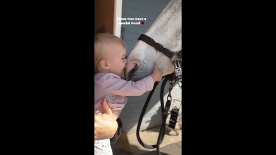 Tiny horse hugger: 1-year-old develops special bond with a horse 
