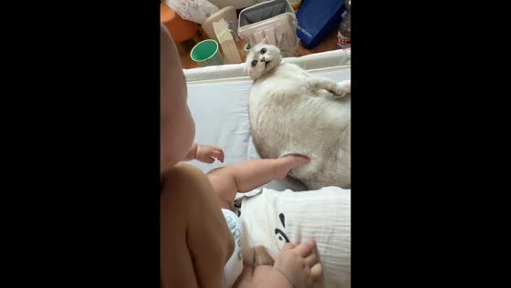 Baby and cat share playful moment on bed in Henan, China