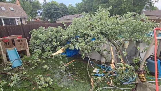Severe storm topples tree onto backyard pool in Tinley Park, Illinois, USA