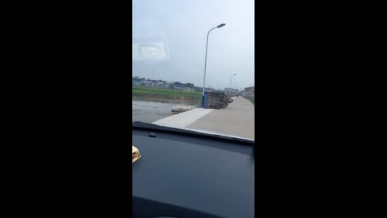Pig escapes after falling from vehicle in Hunan, China