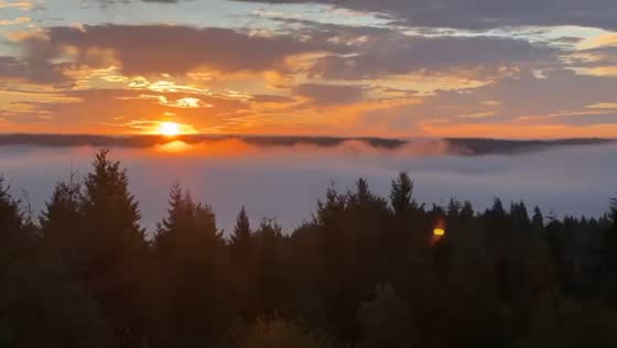 Timelapse of breathtaking sunrise over Washington’s Olympic Peninsula in USA