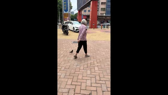 Bird follows 91-year-old woman while walking in Guangdong, China