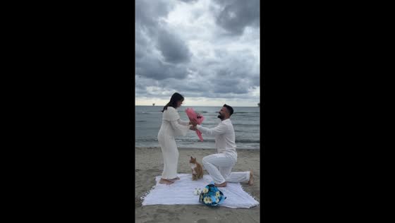 Cat joins couple’s seaside gender reveal celebration in Silivri, Turkey