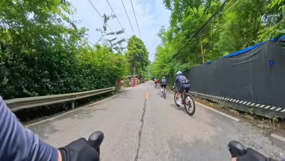 Tricycle crashes into roadside railings on curved downhill road in Sichuan, China