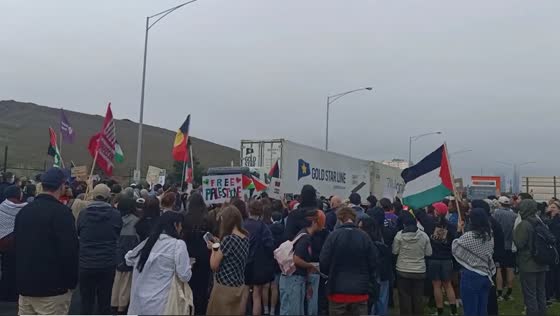 Protesters rally at Webb Dock, Melbourne, demanding a free Palestine