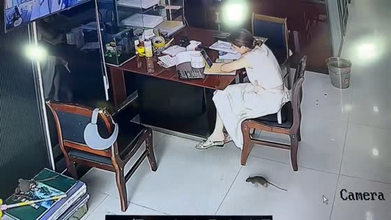 Woman startled as rat climbs on her foot in Hunan, China