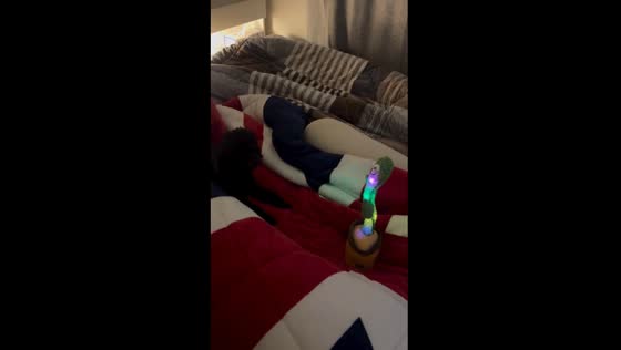 Barking bliss: dog's hilarious encounter with a dancing cactus toy in Busan