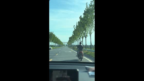 Bird playfully taps rider's head in Jiangxi, China
