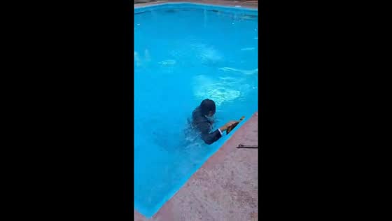 Poolside splash! band member makes a musical dip