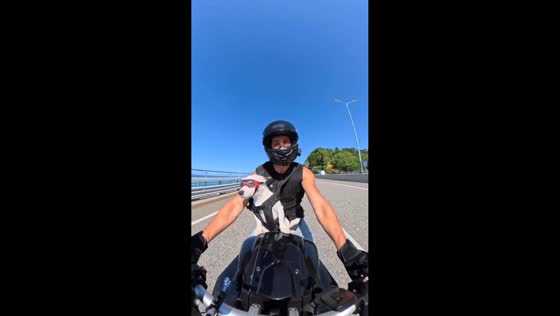Dog dances on motorcycle ride before police car passes in Sochi, Russia