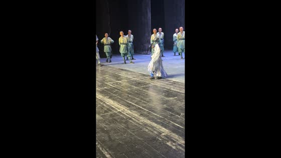 Kung Fu robot malfunctions during demonstration in Henan, China