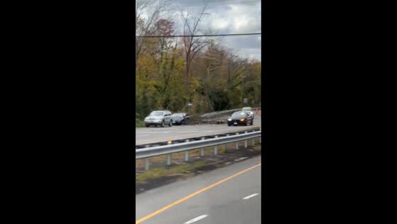 Fallen branch from a large tree on Glen Cove Road, New York, USA