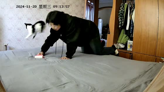 Cat accidentally hits owner in the face while playing on bed in Anhui, China